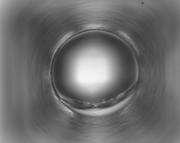 X0000067511330200604071242