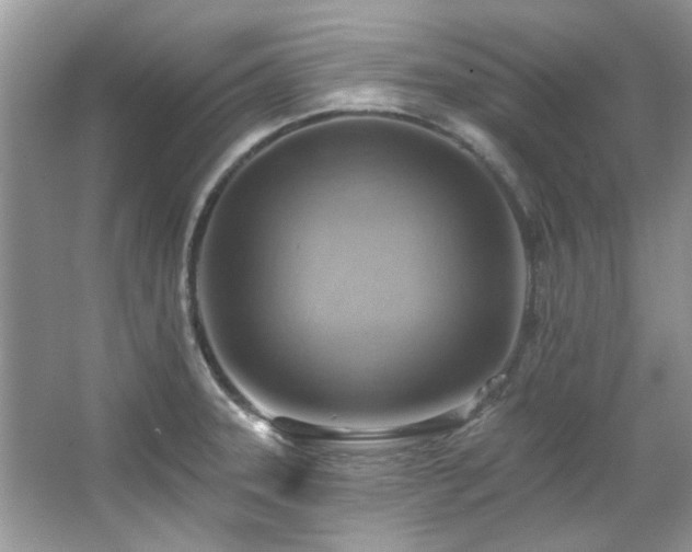 X0000067511331200604071242