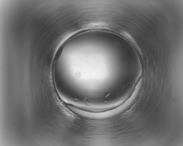 X0000067511336200604071242