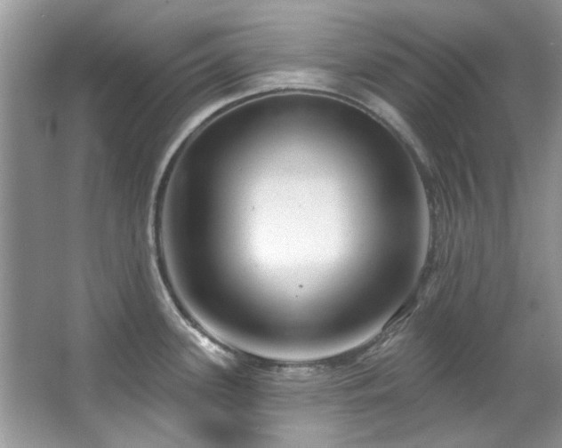 X0000067511339200604071242