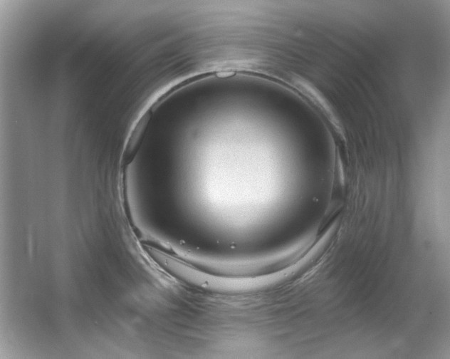 X0000067511340200604071242