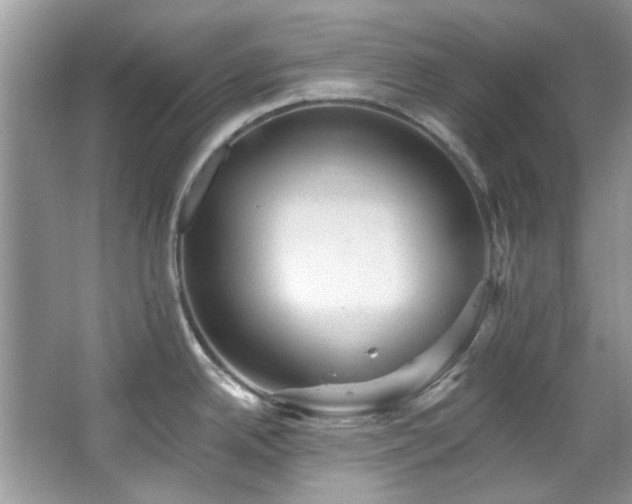 X0000067511342200604071242