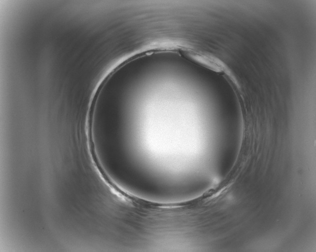 X0000067511343200604071242