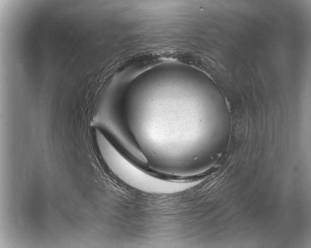 X0000067511345200604071241