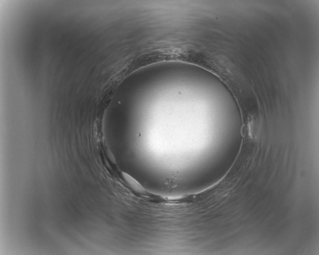 X0000067511347200604071241