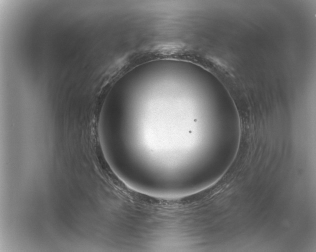 X0000067511349200604071241
