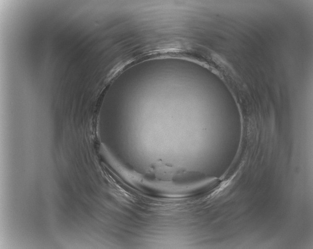 X0000067511353200604071241