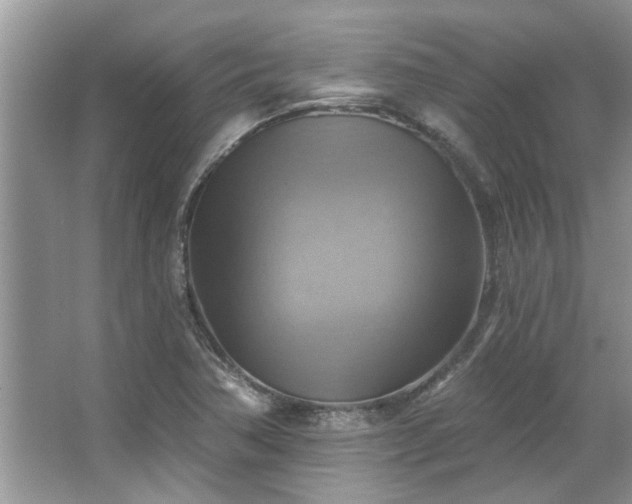 X0000067511362200604071241
