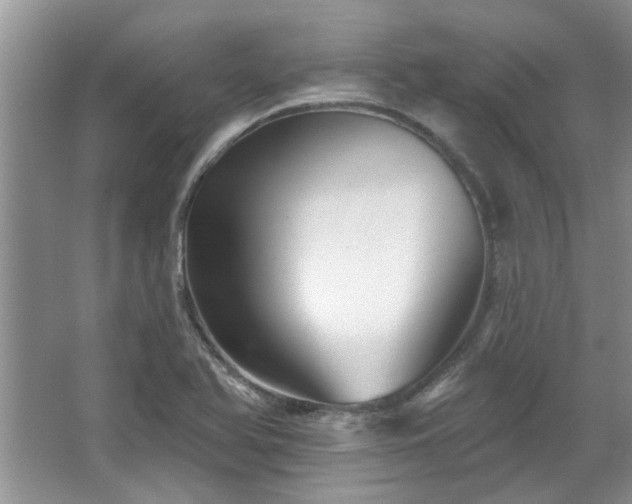 X0000067511366200604071241