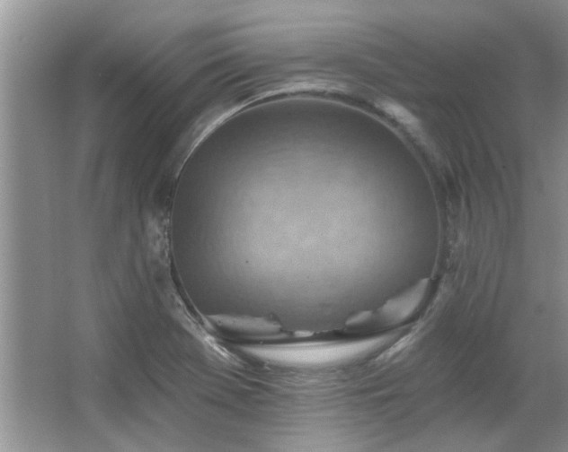 X0000067511369200604071241