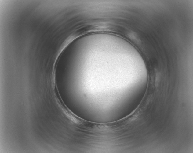 X0000067511370200604071241