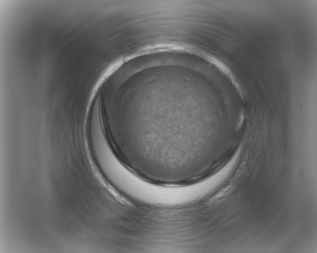 X0000067511373200604071241