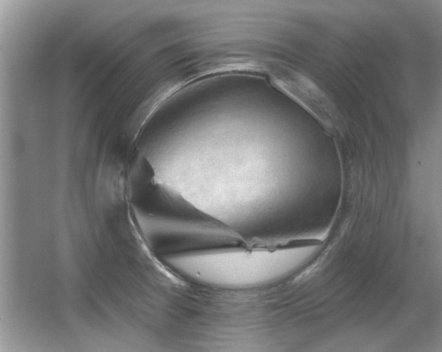 X0000067511377200604071241