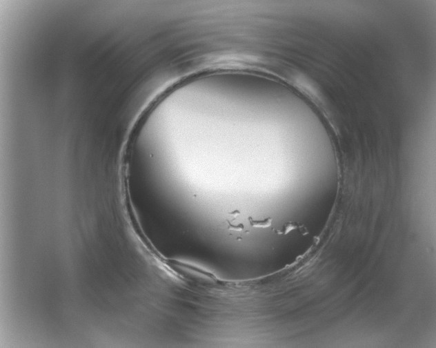 X0000067511384200604071241