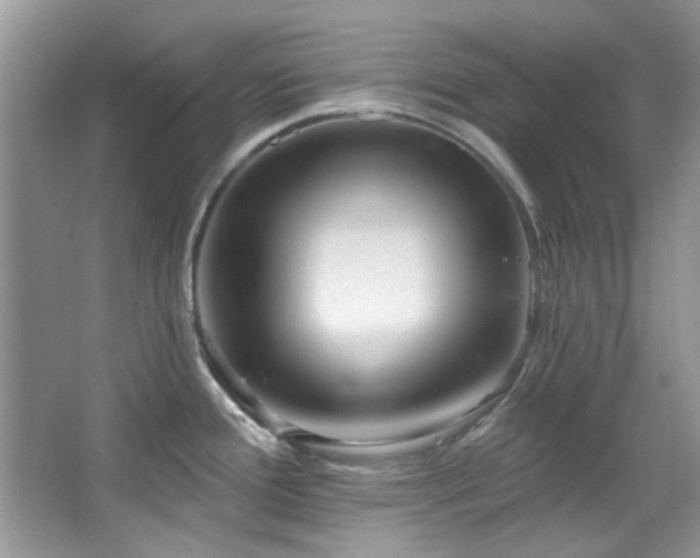 X0000067511388200604071241