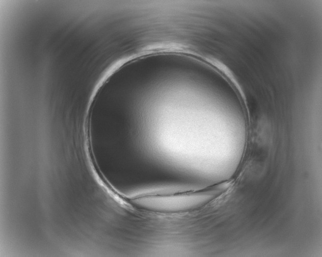 X0000067511389200604071241