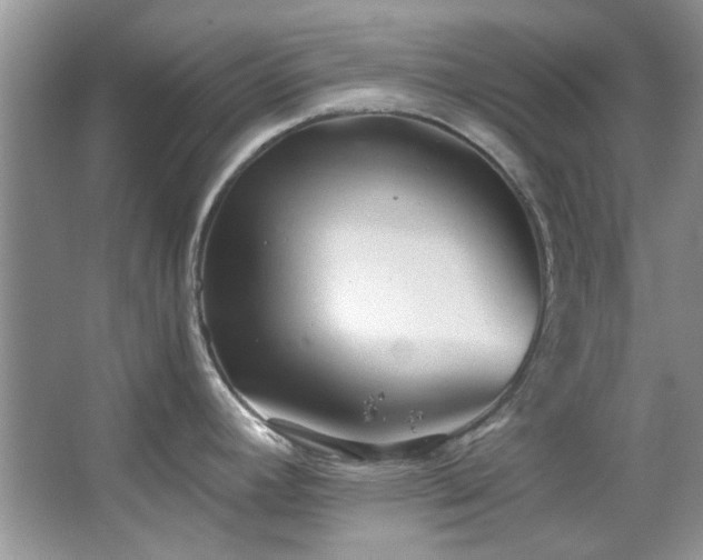 X0000067511392200604071241