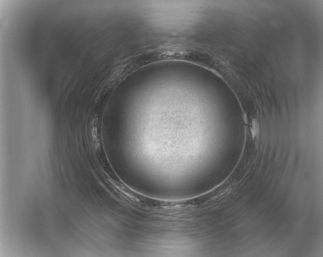 X0000067511396200604071240