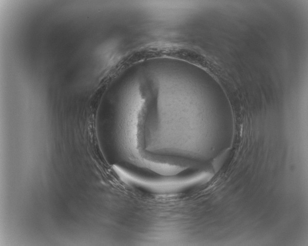X0000067511397200604071240
