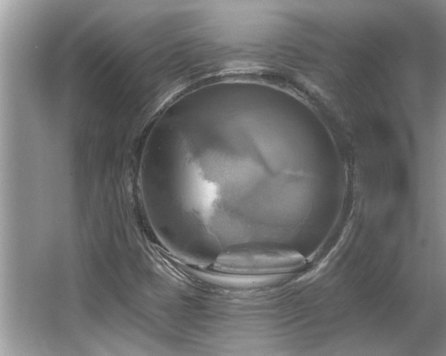 X0000067511401200604071240