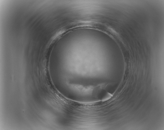 X0000067511411200604071240