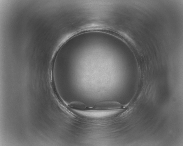 X0000067511413200604071240