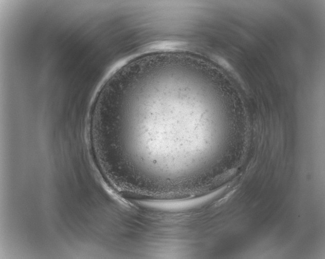 X0000067511421200604071240