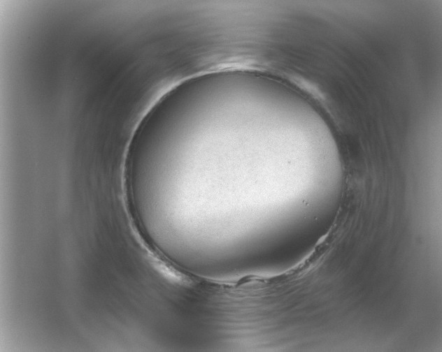 X0000067511423200604071240