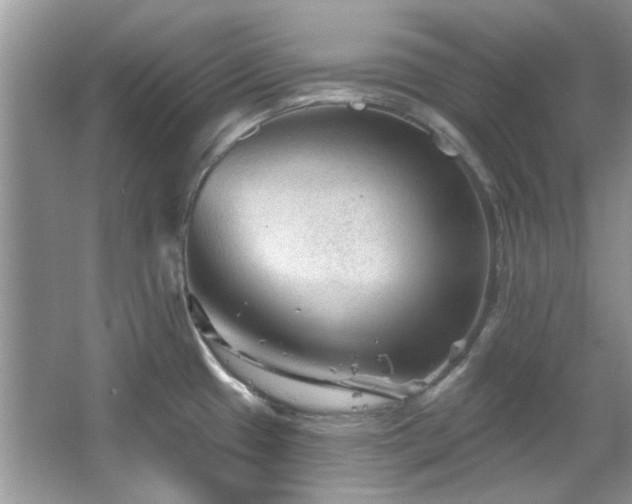 X0000067511433200604071241