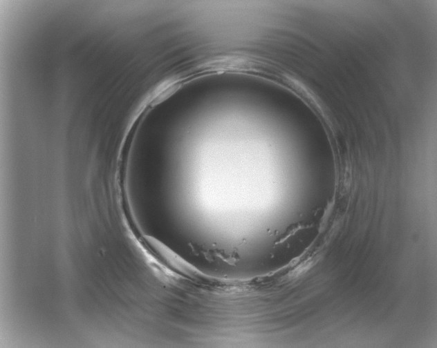 X0000067511434200604071241