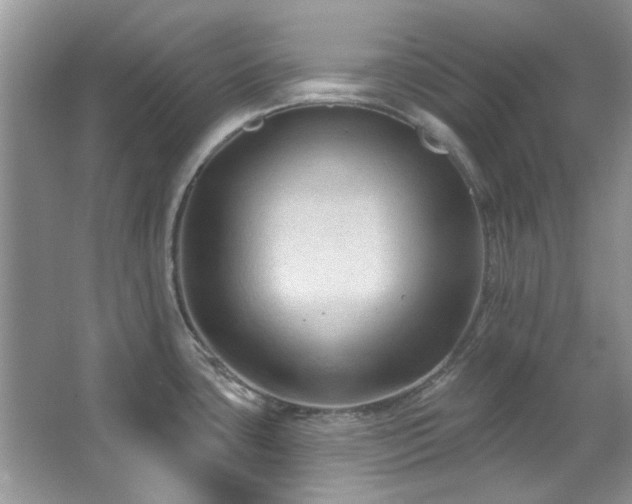 X0000067511435200604071241