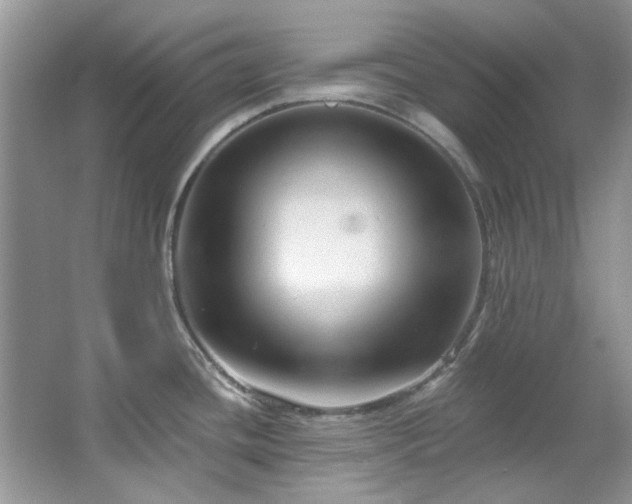 X0000067511436200604071241