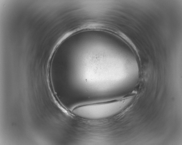 X0000067511437200604071241