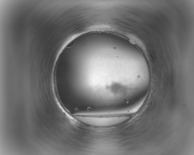 X0000067511440200604071241