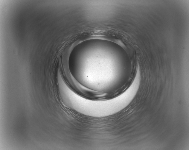 X0000067511441200604071240