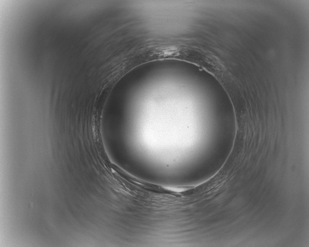 X0000067511442200604071240
