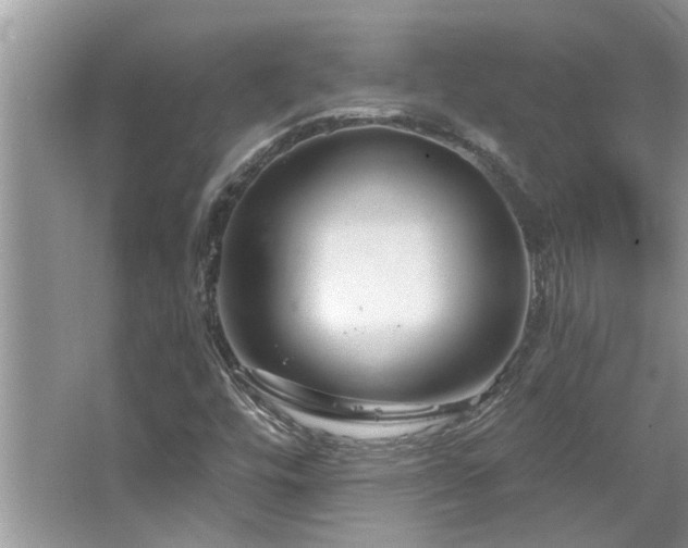 X0000067511448200604071240