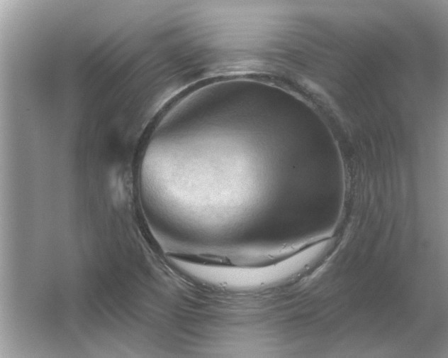 X0000067511457200604071240