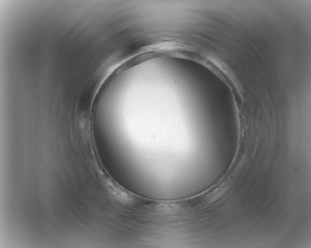 X0000067511473200604071239