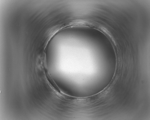 X0000067511481200604071239