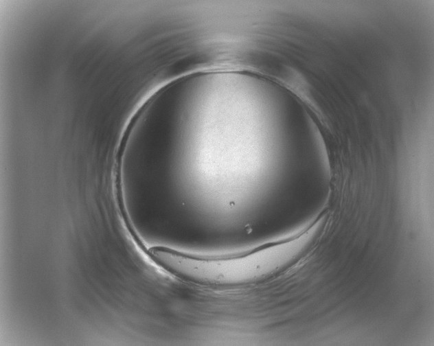 X0000067511484200604071239