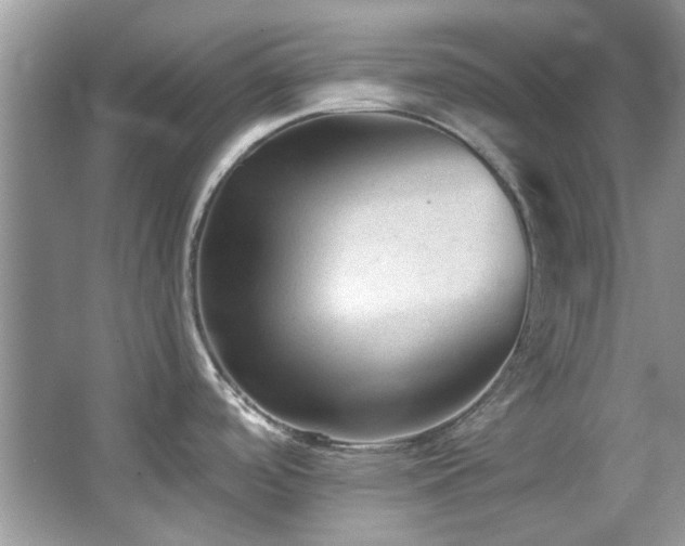 X0000067511488200604071239