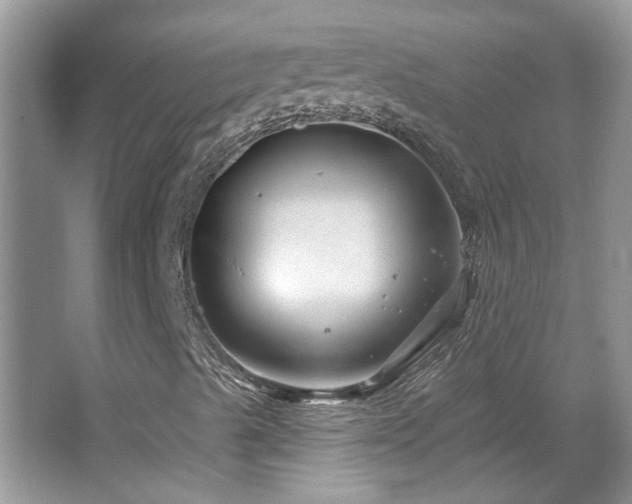 X0000067511489200604071238
