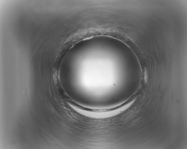 X0000067511492200604071238