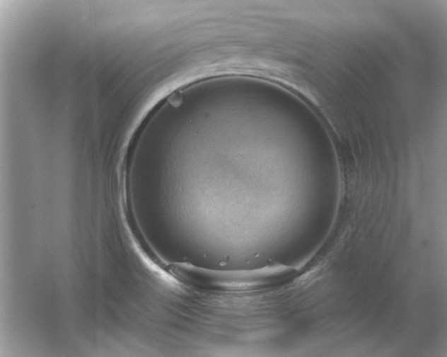 X0000067511515200604071239