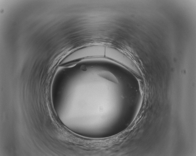 X0000067510001200604101307