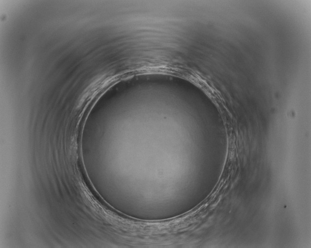 X0000067510002200604101307