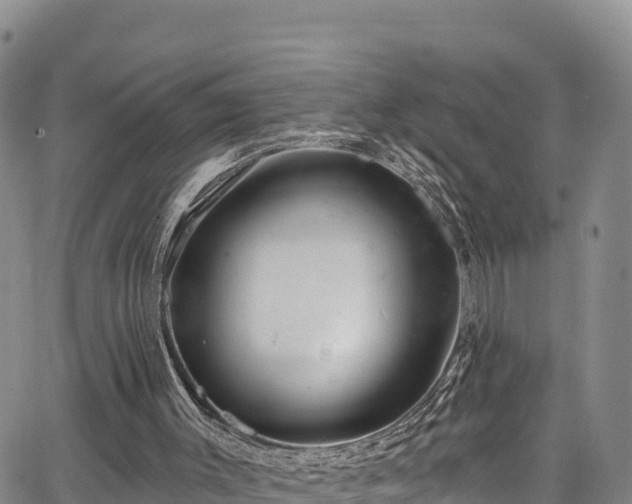 X0000067510003200604101307