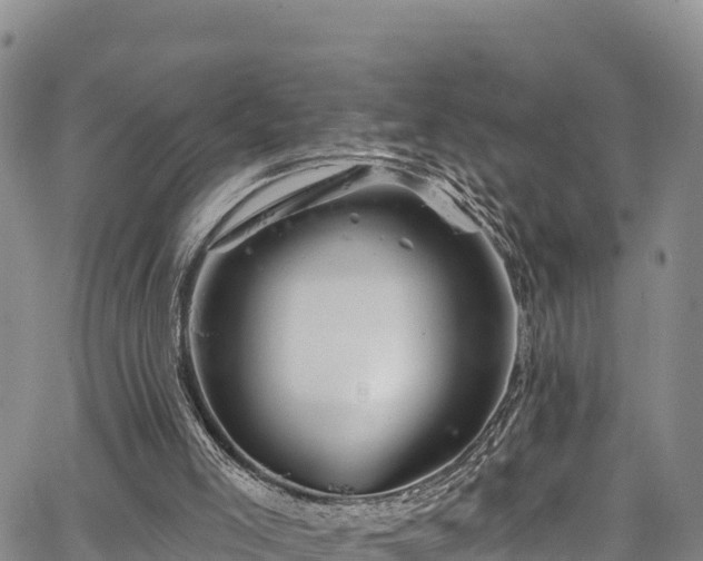 X0000067510005200604101307