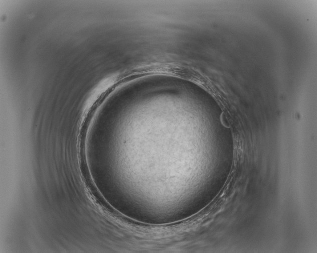 X0000067510006200604101307